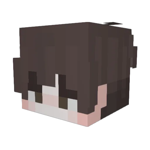 _Gaspacho Minecraft avatar head, 3D render