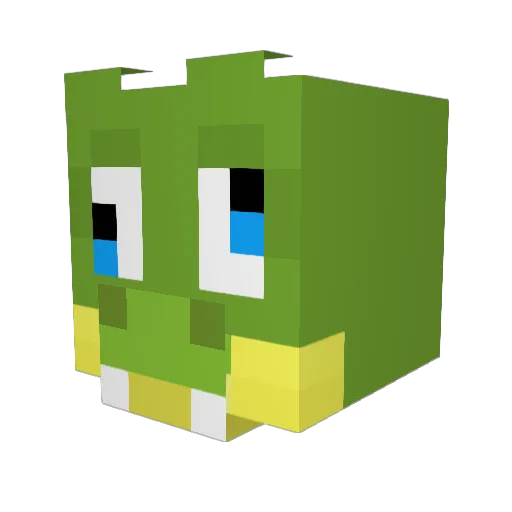 _Gatornade Minecraft avatar head, 3D render