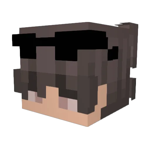 _Gaza_ Minecraft avatar head, 3D render