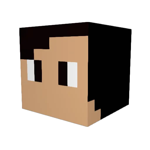 _Geo Minecraft avatar head, 3D render