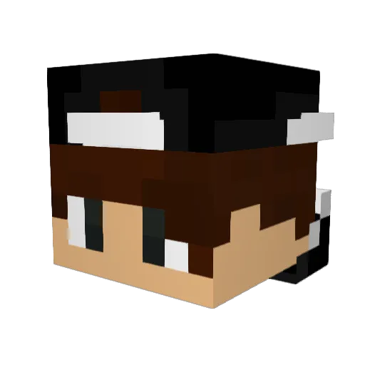 _GetOnMyLvL_0_ Minecraft avatar head, 3D render