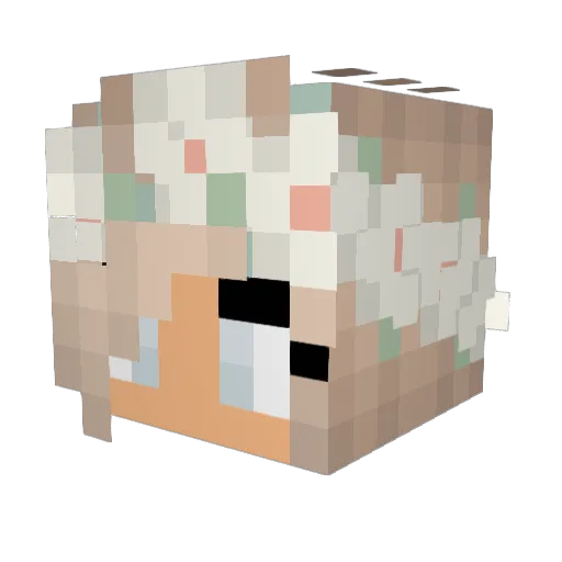_Ginderella_ Minecraft avatar head, 3D render
