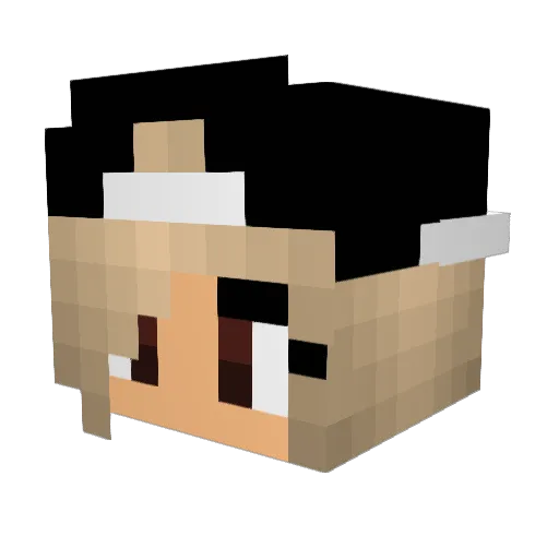 _Girl_Gamer_123_ Minecraft avatar head, 3D render
