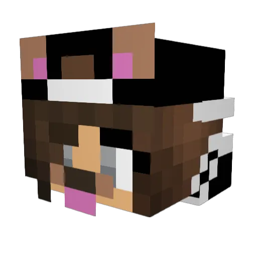 _Glitter10_ Minecraft avatar head, 3D render