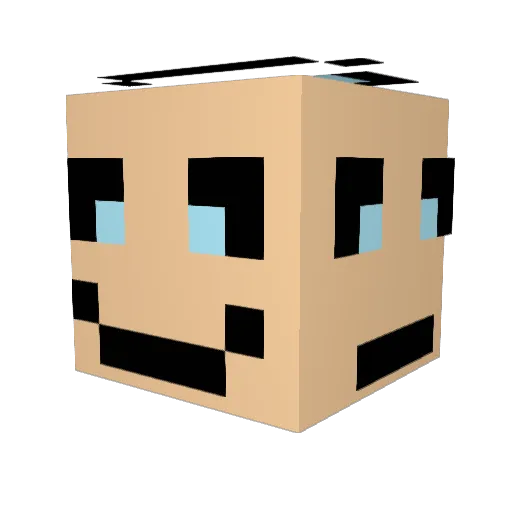 _Gnowman Minecraft avatar head, 3D render