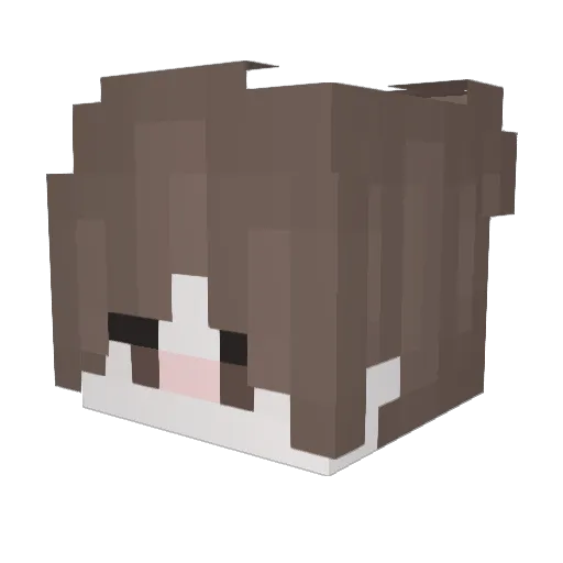 _Goose_222 Minecraft avatar head, 3D render