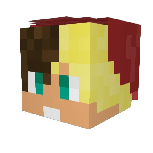 _Gooseling_ Minecraft avatar head, 3D render
