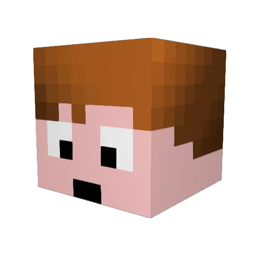 _Gotta_ Minecraft avatar head, 3D render