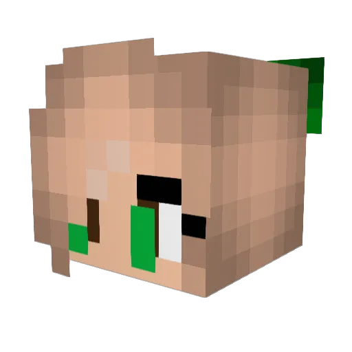 _Gracie_Ann_ Minecraft avatar head, 3D render