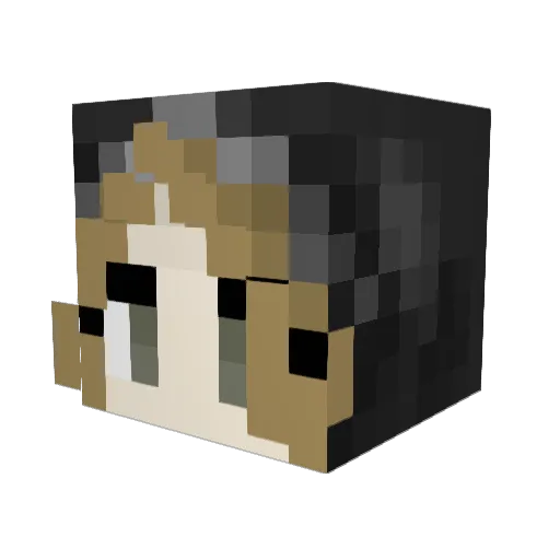 _GreyWing Minecraft avatar head, 3D render