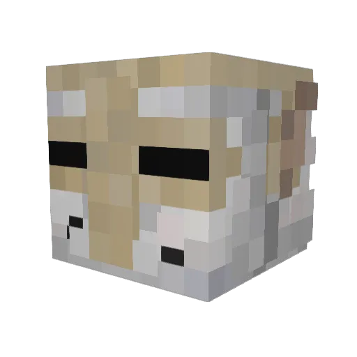 _Gryph Minecraft avatar head, 3D render