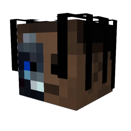 _Guid014_ Minecraft avatar head, 3D render