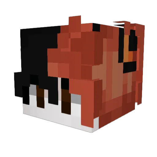 _Gunter_ Minecraft avatar head, 3D render