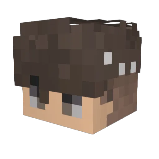 _GwnDaan_ Minecraft avatar head, 3D render