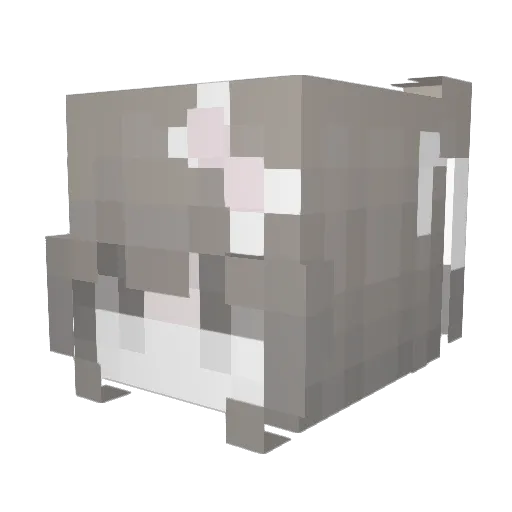 _H4y1 Minecraft avatar head, 3D render