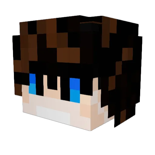 _HARLLEY_ Minecraft avatar head, 3D render