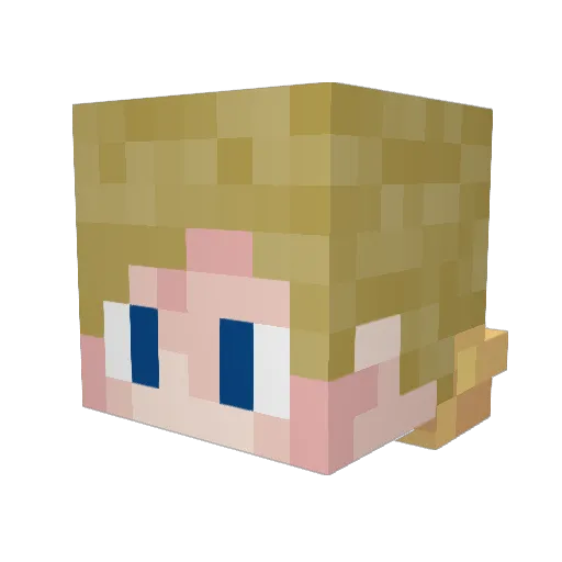_HBO_ Minecraft avatar head, 3D render