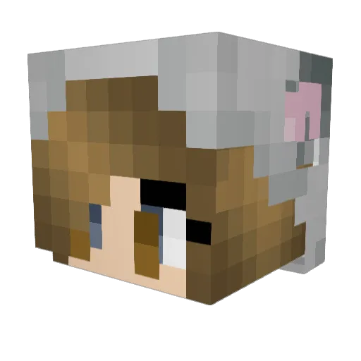 _HONKHONK_ Minecraft avatar head, 3D render