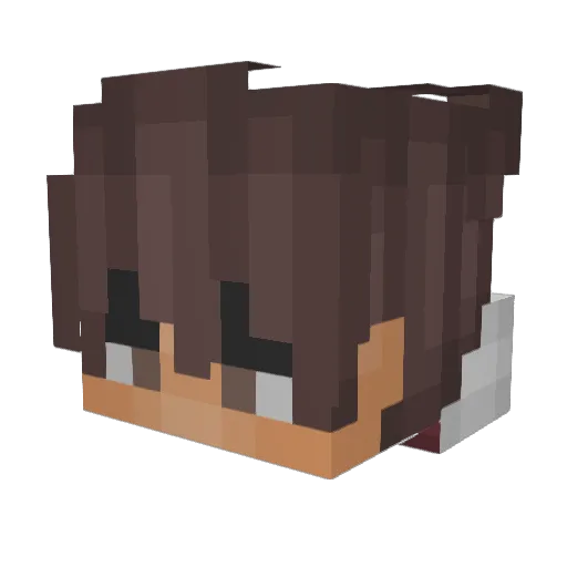 _HPD_ Minecraft avatar head, 3D render