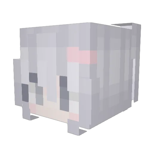 _HTYL Minecraft avatar head, 3D render