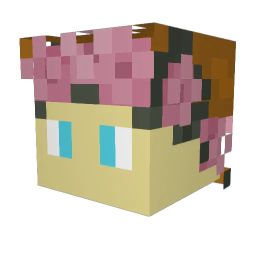 _H_E_S_T_I_A_ Minecraft avatar head, 3D render