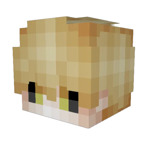 _HalcyonKnight Minecraft avatar head, 3D render