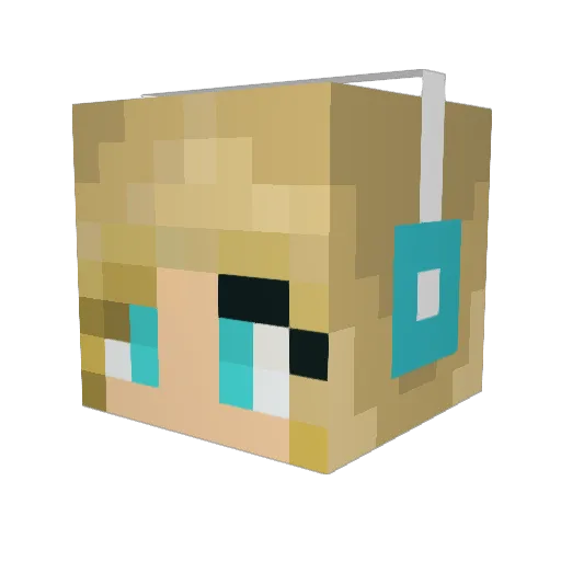 _Haley_Brooke_ Minecraft avatar head, 3D render