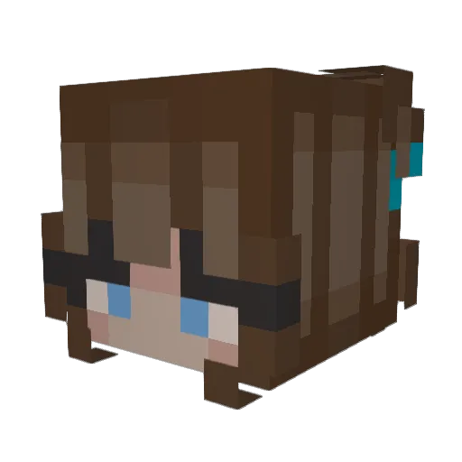_Ham_Ham Minecraft avatar head, 3D render