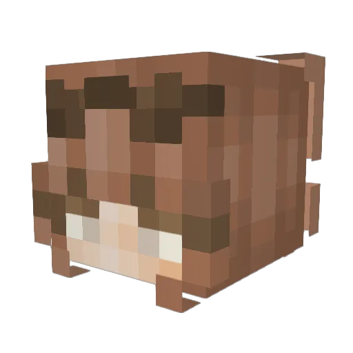 _Hannhan_ Minecraft avatar head, 3D render