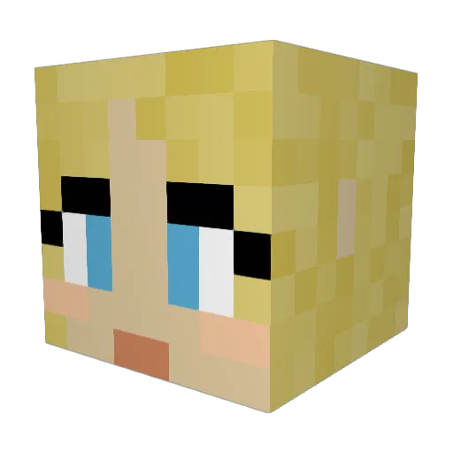 _HansW_ Minecraft avatar head, 3D render