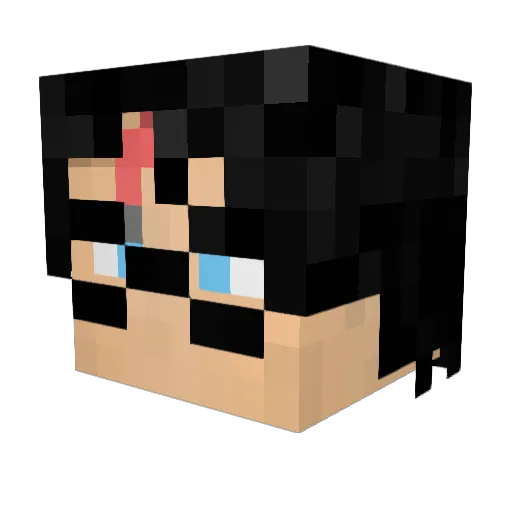 _HarryPoter_ Minecraft avatar head, 3D render
