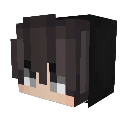 _Hast Minecraft avatar head, 3D render
