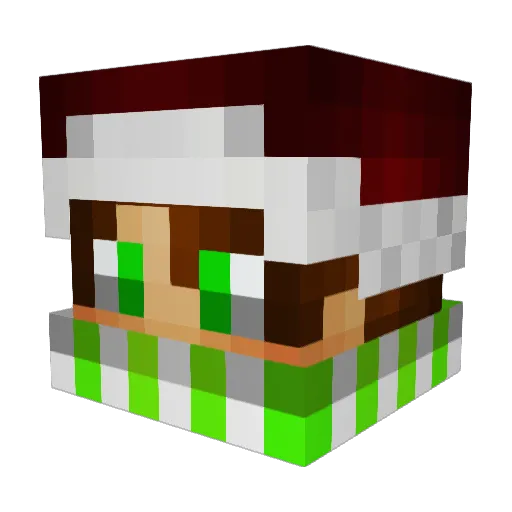 _HavinYT_ Minecraft avatar head, 3D render
