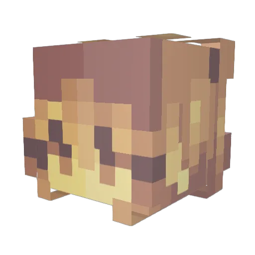 _HawaiiKawaii_ Minecraft avatar head, 3D render