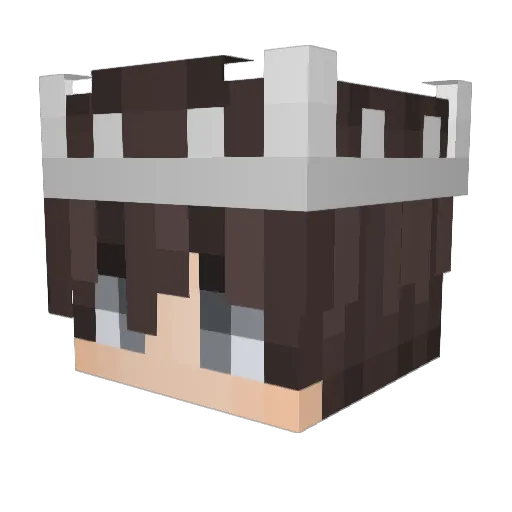 _HeMo_ Minecraft avatar head, 3D render