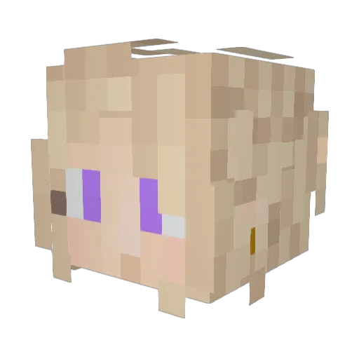 _HeavyDutch_ Minecraft avatar head, 3D render