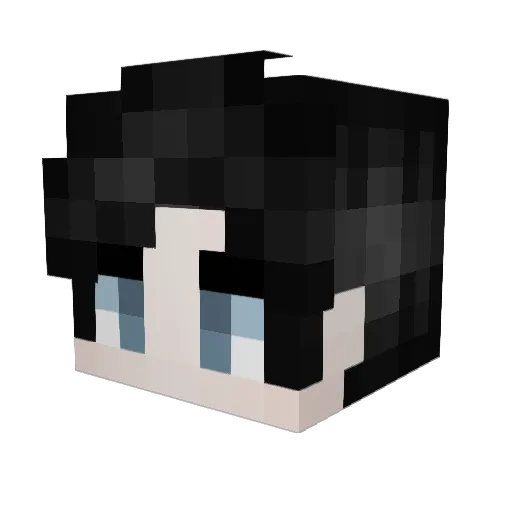 _Heiler_ Minecraft avatar head, 3D render