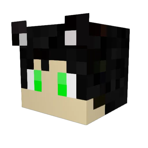 _Hiruzen_ Minecraft avatar head, 3D render