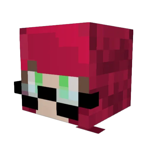 _Honey_Bee_03 Minecraft avatar head, 3D render
