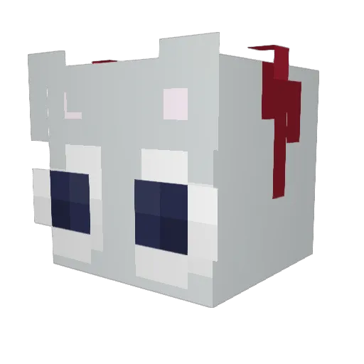 _Hooder Minecraft avatar head, 3D render