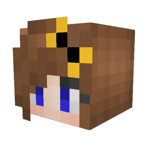 _Hufflepuff_ Minecraft avatar head, 3D render
