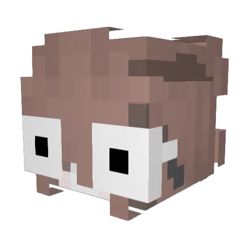 _HumanTear_ Minecraft avatar head, 3D render