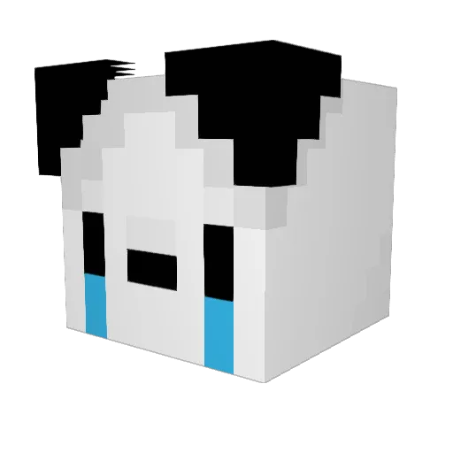 _HunterGames_ Minecraft avatar head, 3D render