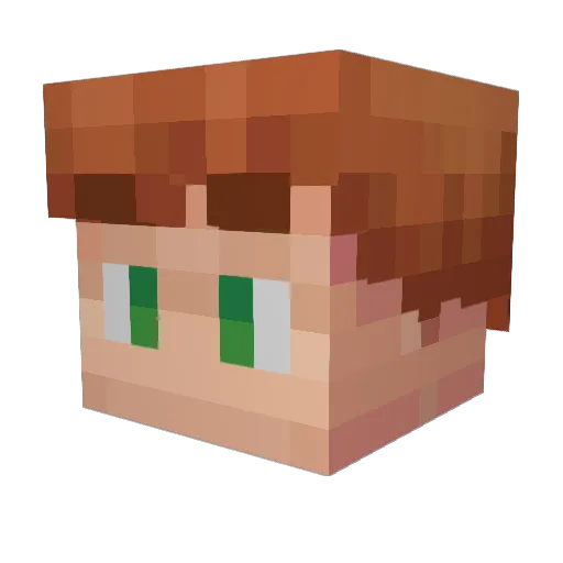 _IAmDavid_ Minecraft avatar head, 3D render