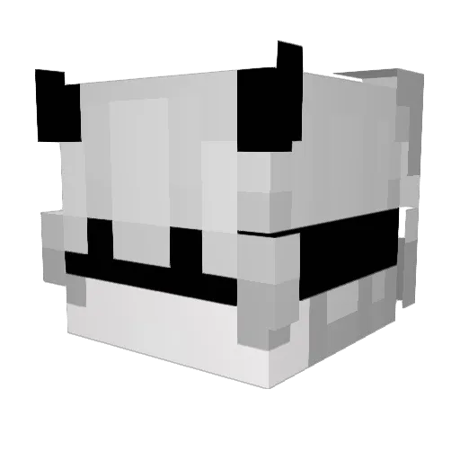 _IInfinity Minecraft avatar head, 3D render