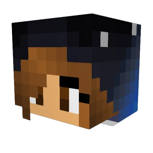_INK_69_ Minecraft avatar head, 3D render