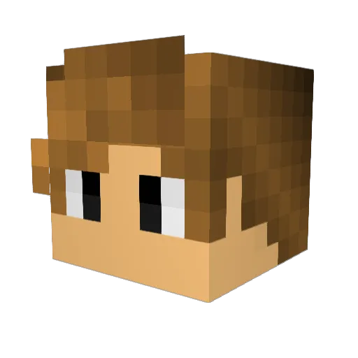 _I_Boot_Daily_ Minecraft avatar head, 3D render