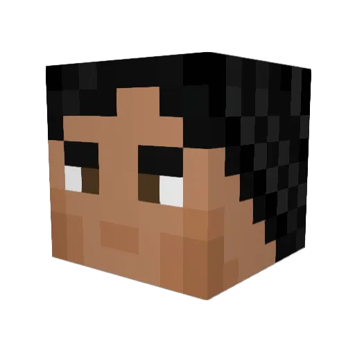 _Iamjustadopted_ Minecraft avatar head, 3D render