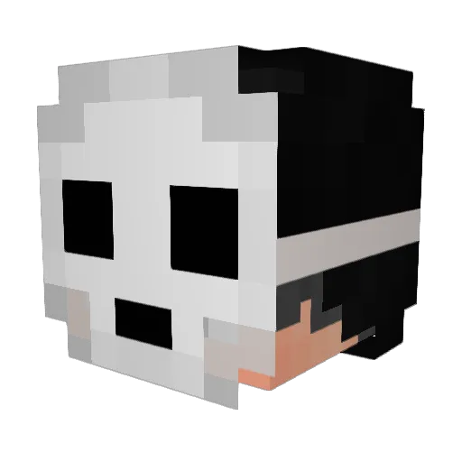 _IchBinEineEnte Minecraft avatar head, 3D render