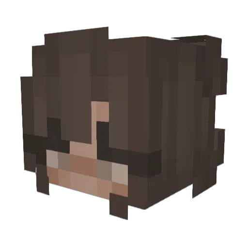 _Illusix Minecraft avatar head, 3D render